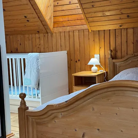 Appartement Laza Fotel