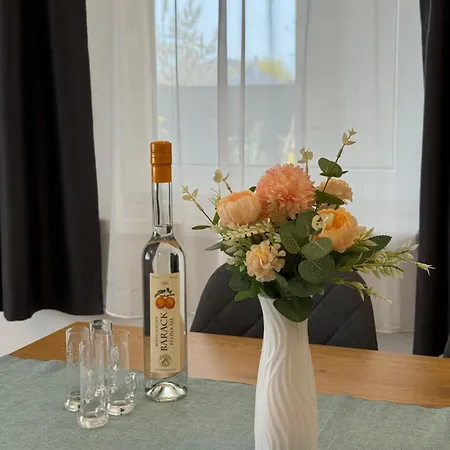 Laza Fotel Apartament Bichișciaba